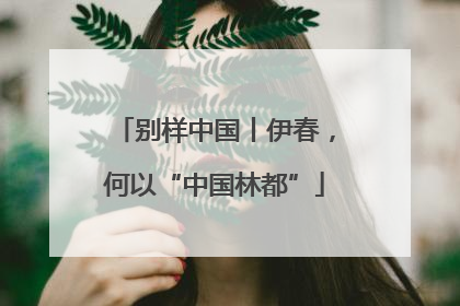 别样中国丨伊春，何以“中国林都”