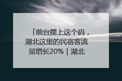 前台摆上这个码，湖北这里的民宿客流量增长20%｜湖北市场监管所的故事