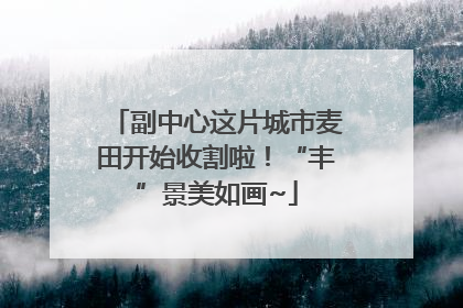 副中心这片城市麦田开始收割啦！“丰”景美如画~
