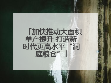 加快推动大面积单产提升 打造新时代更高水平“洞庭粮仓”