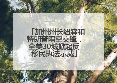 加州州长纽森和特朗普隔空交锋，全美30城掀起反移民执法示威