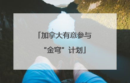 加拿大有意参与“金穹”计划
