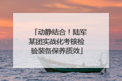 动静结合！陆军某团实战化考核检验装备保养质效