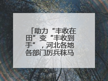 助力“丰收在田”变“丰收到手”，河北各地各部门厉兵秣马迎战“三夏”