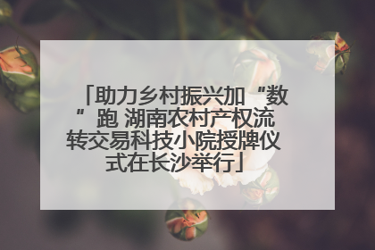 助力乡村振兴加“数”跑 湖南农村产权流转交易科技小院授牌仪式在长沙举行