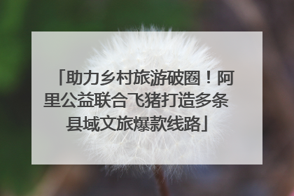 助力乡村旅游破圈！阿里公益联合飞猪打造多条县域文旅爆款线路