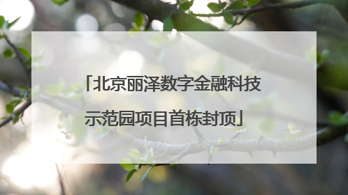 北京丽泽数字金融科技示范园项目首栋封顶