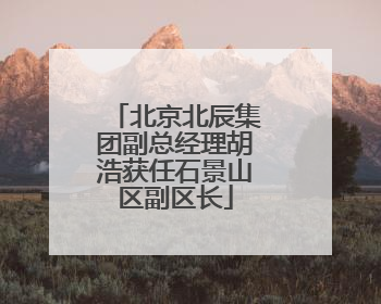 北京北辰集团副总经理胡浩获任石景山区副区长
