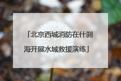 北京西城消防在什刹海开展水域救援演练