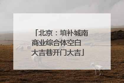 北京：填补城南商业综合体空白 大吉巷开门大吉