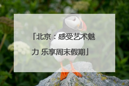 北京：感受艺术魅力 乐享周末假期