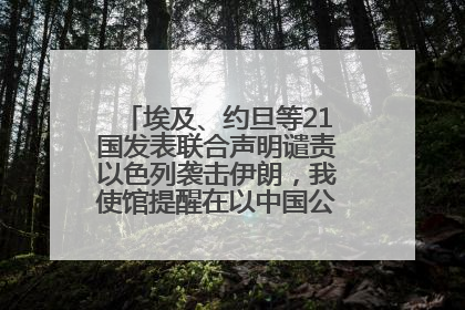 埃及、约旦等21国发表联合声明谴责以色列袭击伊朗，我使馆提醒在以中国公民尽快陆路离境
