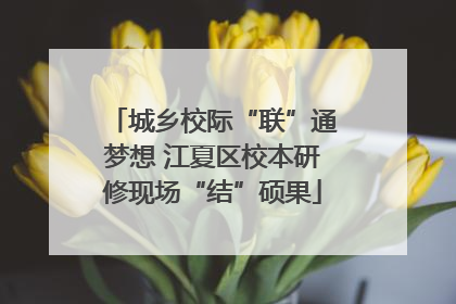 城乡校际“联”通梦想 江夏区校本研修现场“结”硕果