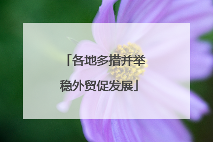 各地多措并举稳外贸促发展