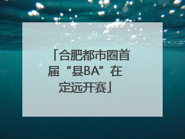 合肥都市圈首届“县BA”在定远开赛