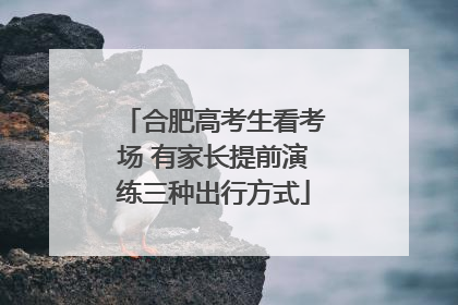 合肥高考生看考场 有家长提前演练三种出行方式