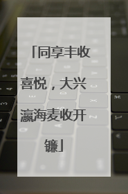 同享丰收喜悦，大兴瀛海麦收开镰