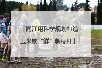 同江用科学规划打造玉米锁“鲜”新标杆