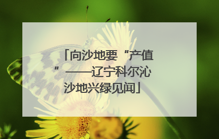 向沙地要“产值”——辽宁科尔沁沙地兴绿见闻