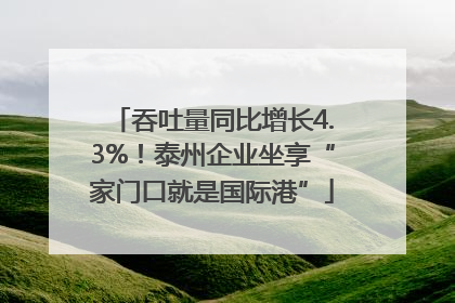 吞吐量同比增长4.3%！泰州企业坐享“家门口就是国际港”