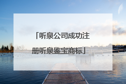 听泉公司成功注册听泉鉴宝商标