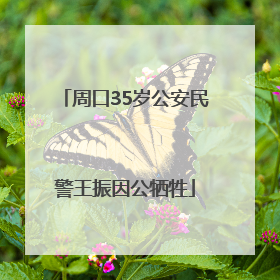 周口35岁公安民警王振因公牺牲