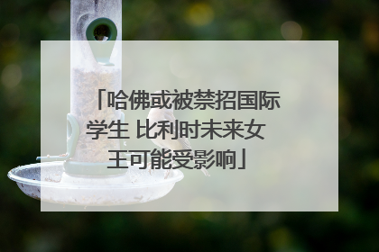 哈佛或被禁招国际学生 比利时未来女王可能受影响