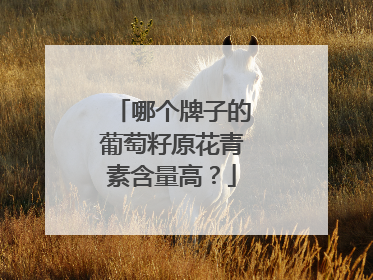 哪个牌子的葡萄籽原花青素含量高？