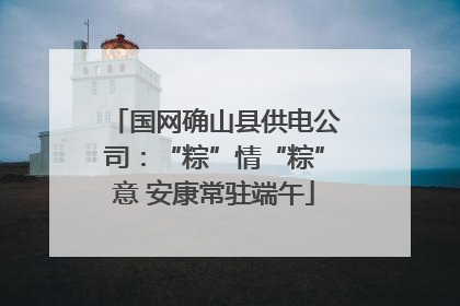 国网确山县供电公司：“粽”情“粽”意 安康常驻端午