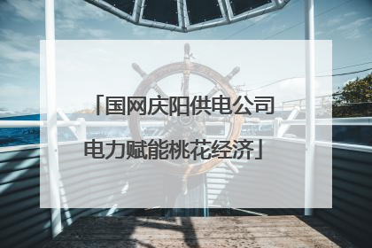 国网庆阳供电公司电力赋能桃花经济