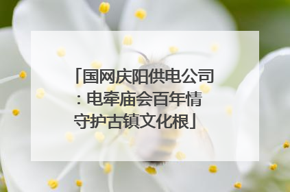 国网庆阳供电公司：电牵庙会百年情 守护古镇文化根
