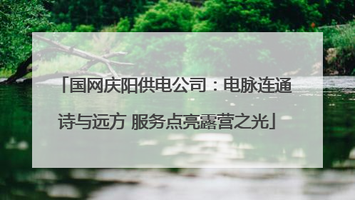 国网庆阳供电公司：电脉连通诗与远方 服务点亮露营之光