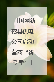 国网新蔡县供电公司启动营商“新引擎”