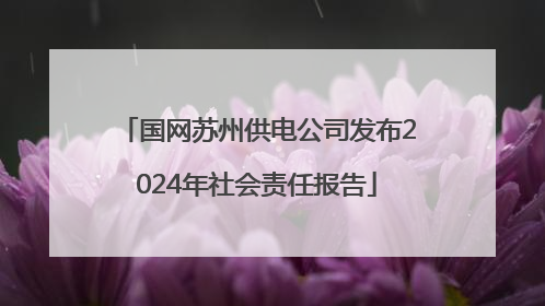 国网苏州供电公司发布2024年社会责任报告