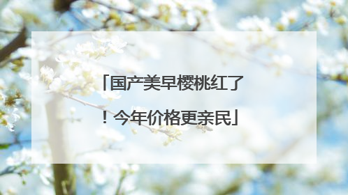 国产美早樱桃红了！今年价格更亲民
