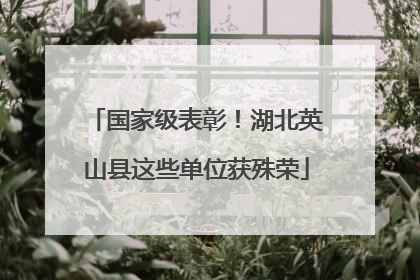 国家级表彰！湖北英山县这些单位获殊荣