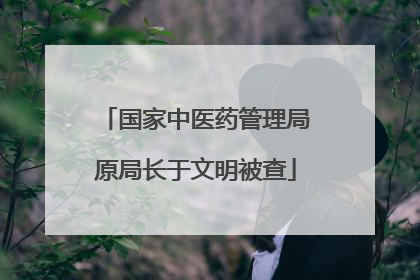 国家中医药管理局原局长于文明被查