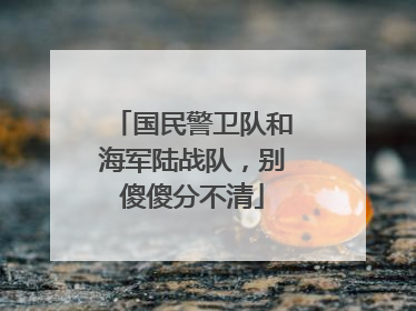 国民警卫队和海军陆战队，别傻傻分不清