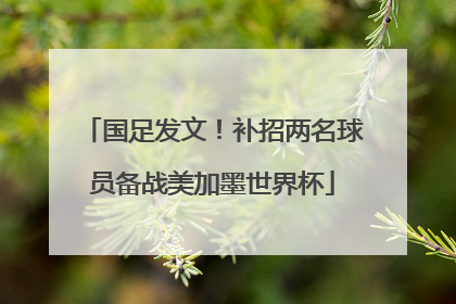 国足发文！补招两名球员备战美加墨世界杯