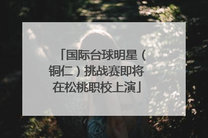 国际台球明星（铜仁）挑战赛即将在松桃职校上演
