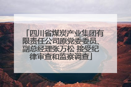 四川省煤炭产业集团有限责任公司原党委委员、副总经理张万松 接受纪律审查和监察调查