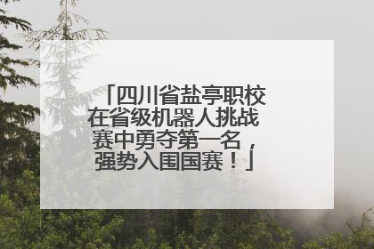 四川省盐亭职校在省级机器人挑战赛中勇夺第一名，强势入围国赛！