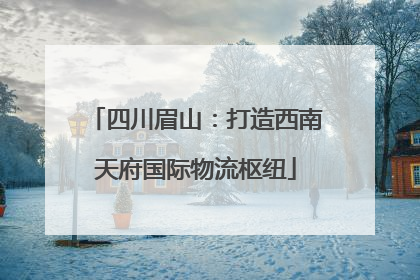四川眉山：打造西南天府国际物流枢纽