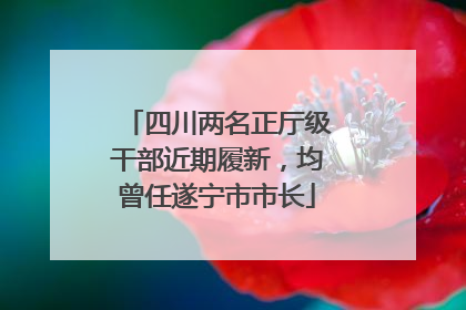 四川两名正厅级干部近期履新，均曾任遂宁市市长