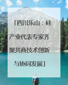 四川乐山：硅产业代表专家齐聚共商技术创新与协同发展