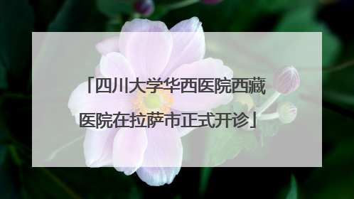 四川大学华西医院西藏医院在拉萨市正式开诊