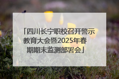 四川长宁职校召开警示教育大会暨2025年春期期末监测部署会