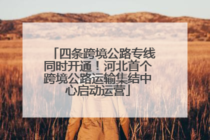 四条跨境公路专线同时开通！河北首个跨境公路运输集结中心启动运营