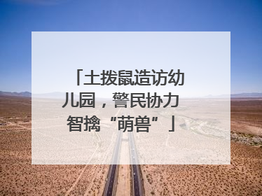 土拨鼠造访幼儿园，警民协力智擒“萌兽”