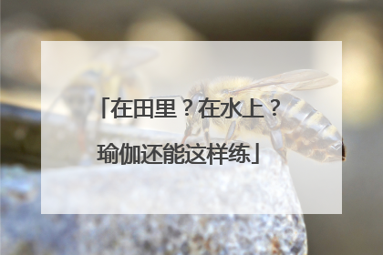 在田里？在水上？瑜伽还能这样练